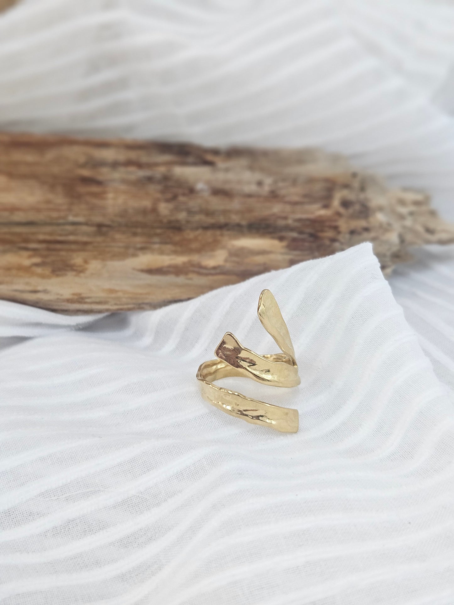 Anillo Palest